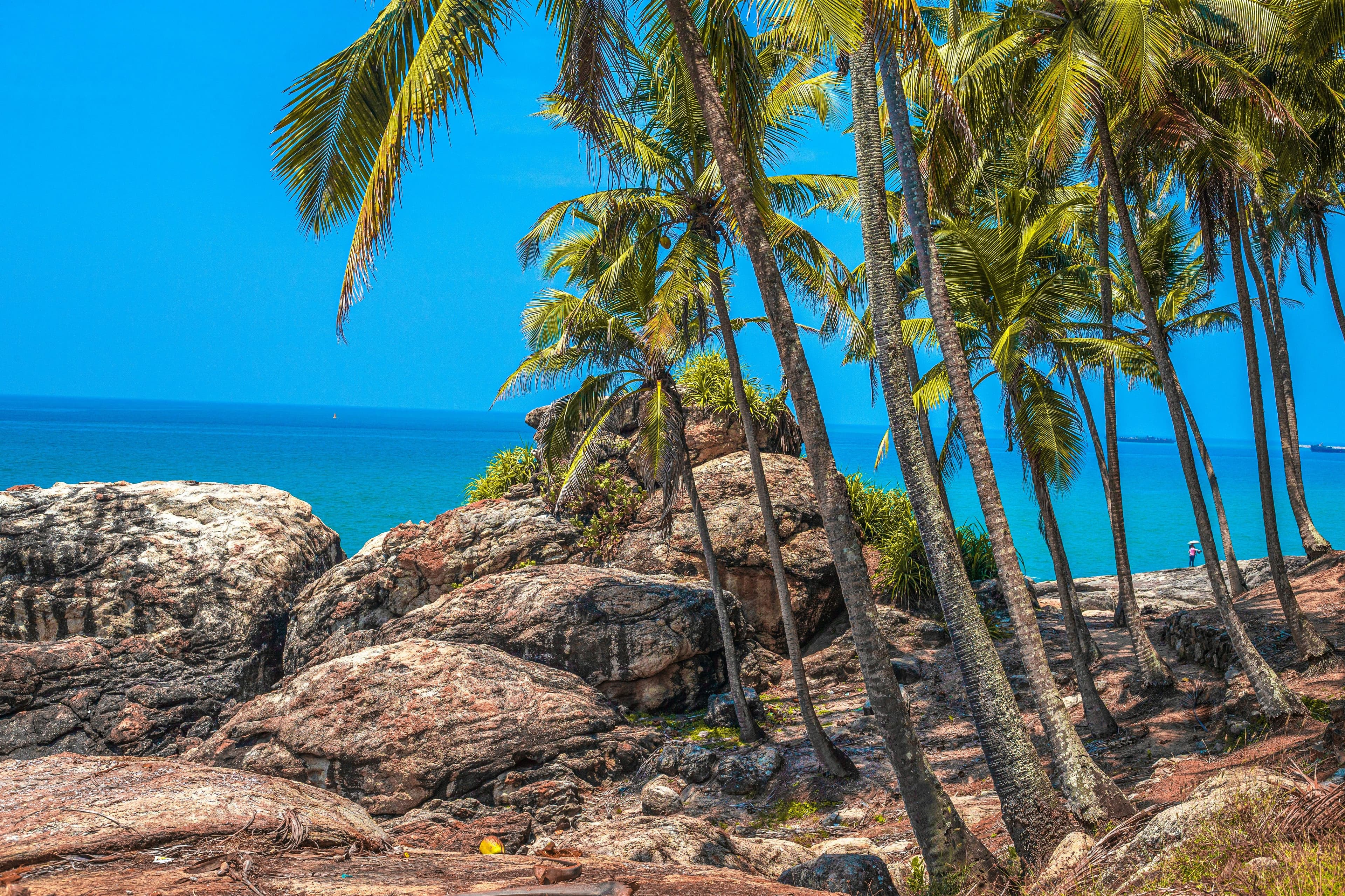 Sakvoyage hero image